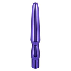CalExotics Rechargeable Anal Probe Purple