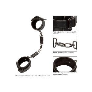 CalExotics Ankle Cuffs