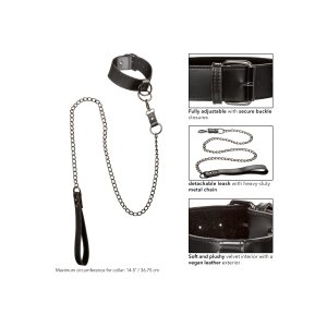CalExotics Collar With Chain Leash