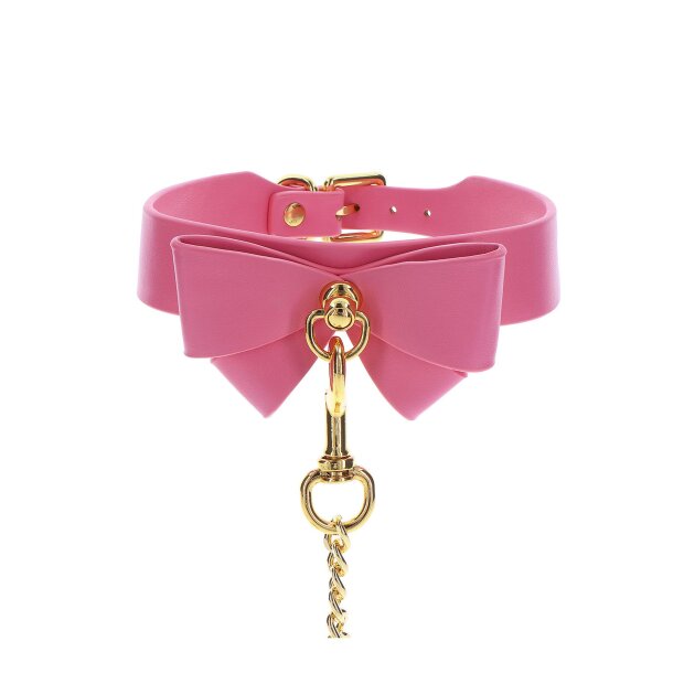 Taboom Collar and Leash