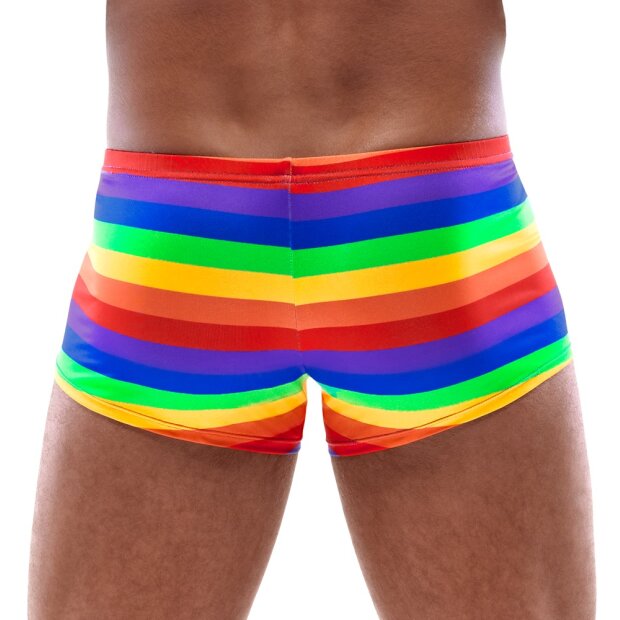 Mens Boxer Briefs Rainbow S