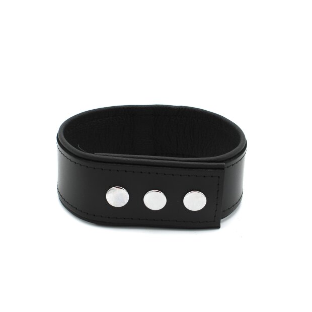 Kiotos Leather Push Button Collar with Metal Shackle