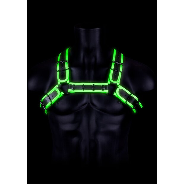Bulldog Harness with Buckle Glow in the Dark S/M - L/XL