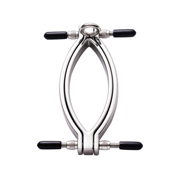 Kiotos Steel Clit Clamp with leash chain