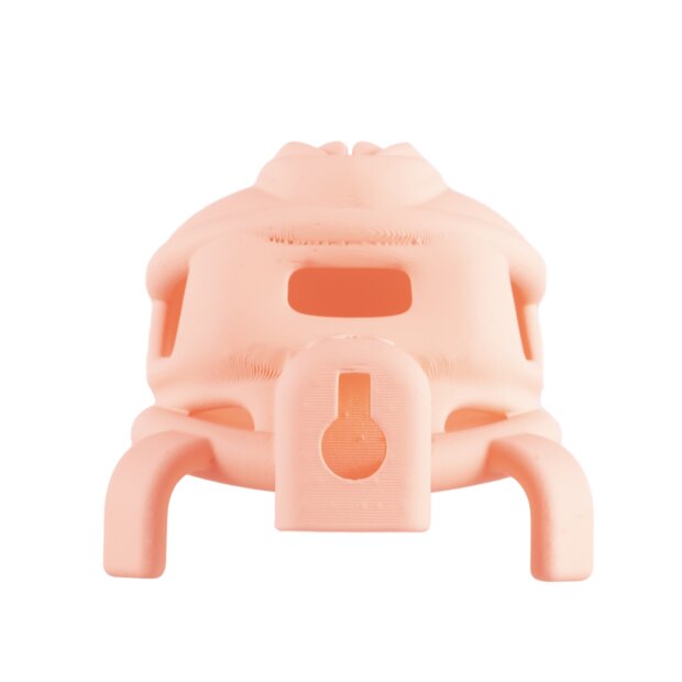 Sevanda Pink Pride Chastity Cage Long