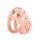 Sevanda Pink Pride Chastity Cage Long