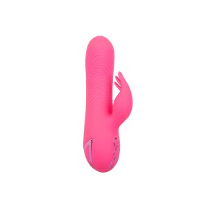 CalExotics California Dreaming Sacramento Sweetie Pink