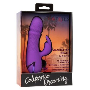 CalExotics California Dreaming Manhattan Beach Marvel Purple