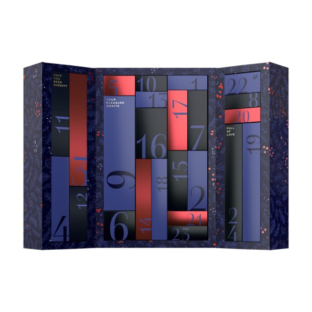 Satisfyer Premium Adventskalender 2024