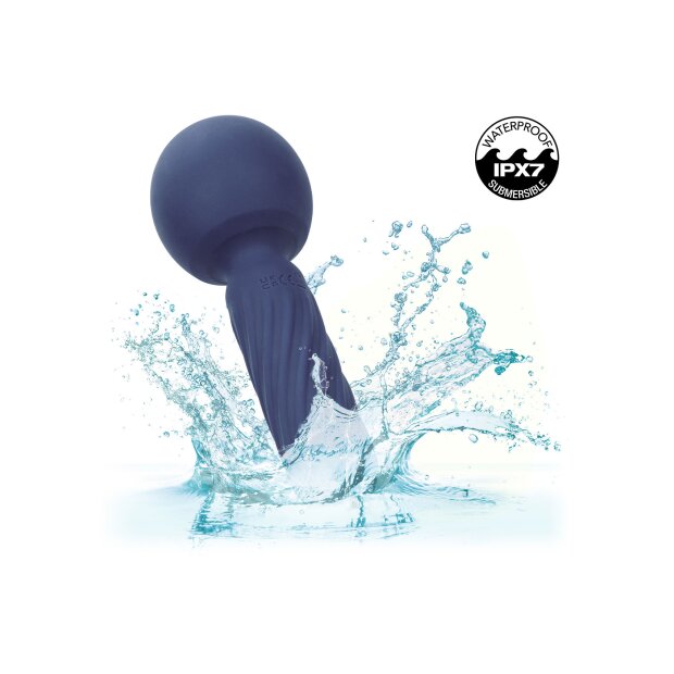 CalExotics Charisma Seduction Violet