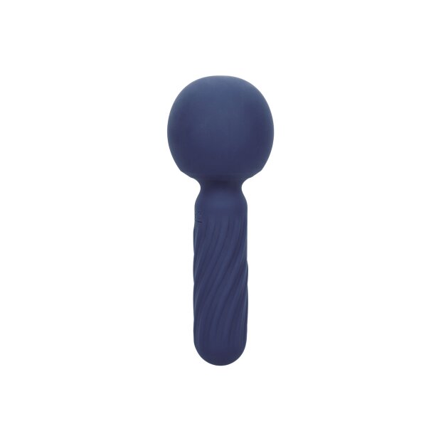 CalExotics Charisma Seduction Violet