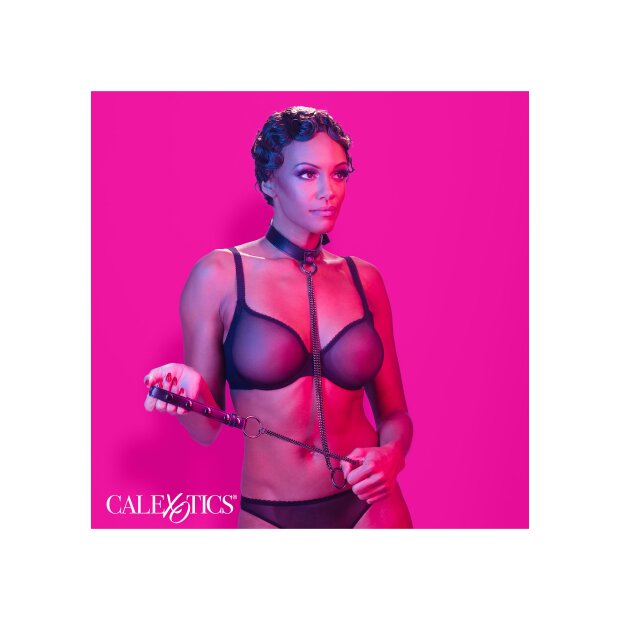 CalExotics Euphoria Collection Kettenhalsband & Leine schwarz