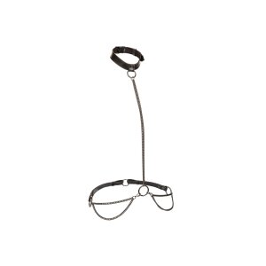 CalExotics Euphoria Collection Kettenhalsband & Leine...