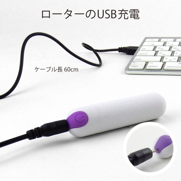 SSI-Japan Docodemo Wireless Vibro Egg White/Purple