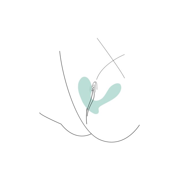 Xocoon DuoVibe II Tapping Vibrator Mint