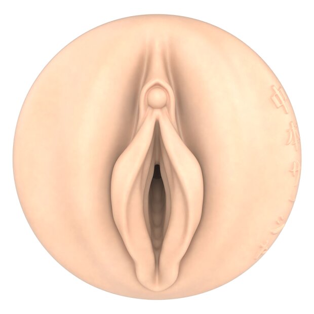 FLESHLIGHT Fantasy Girls Sasha Nakamoto Ecchi Hentai Vagina Masturbator