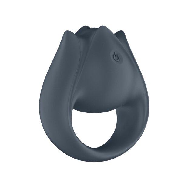 Satisfyer Perfect Pair 2