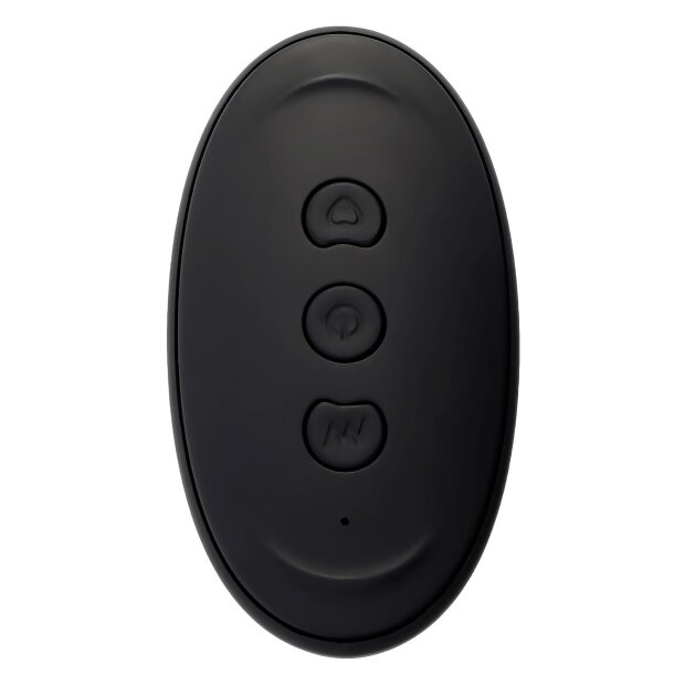 Evolved Zero Tolerance Nautilus