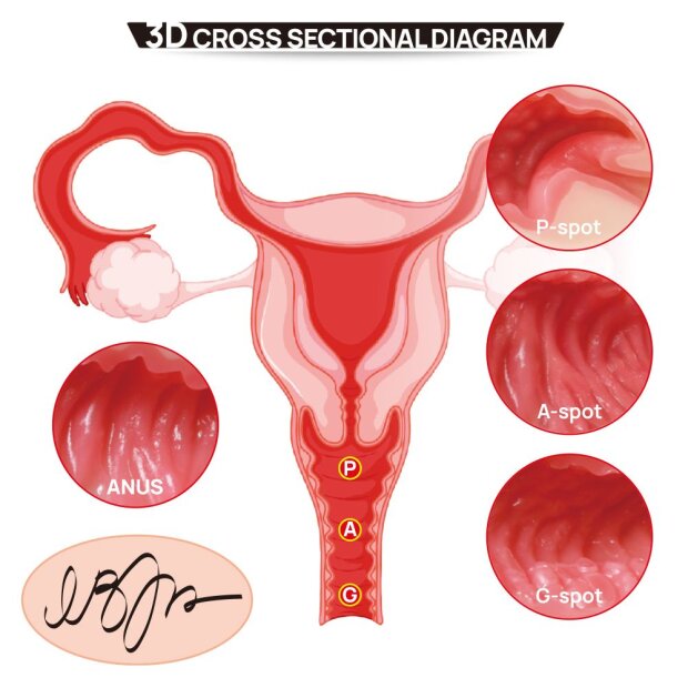 Kokos Toys 004 Vanilla Onahole Real Hips Double Layer