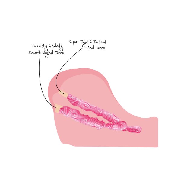 Hidden Desire Bangers Upskirt College Slut Light skin tone