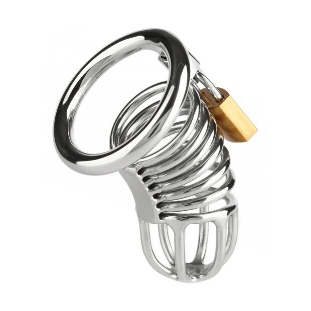 Mr. Steel Ring Master Chastity Device Silver