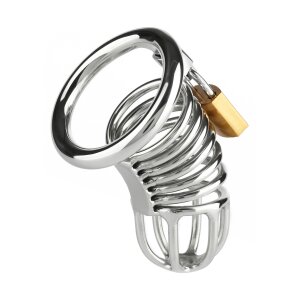 Mr. Steel Ring Master Chastity Device Silver