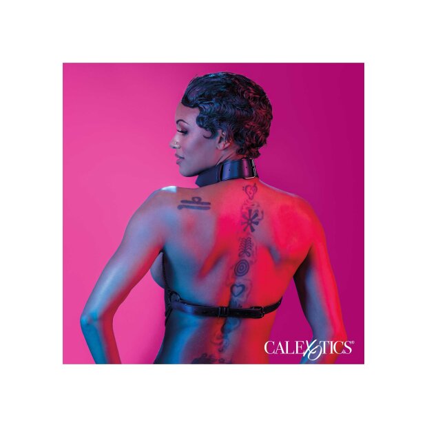 CalExotics Chain Collar Harness Onesize - Plussize