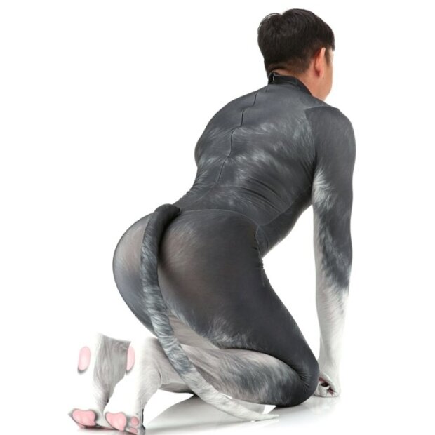 CosplayDogs Husky Dog Cosplay-Anzug Grau S - XL