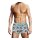 Prowler Swim Trunk Gaywatch Bears S - XL