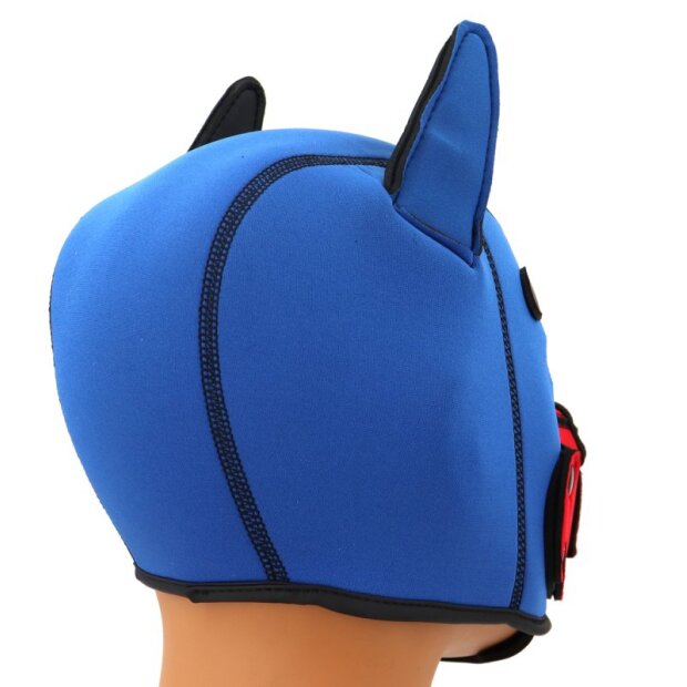 Kinky Puppy Fox Hood Blue Red