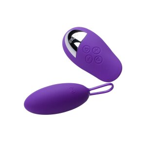 DORR Spot Duo Vibro-Ei mit Fernbedienung Lila 8,5 cm...