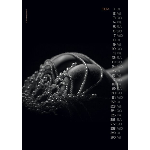 PIN-UP Kalender Sexy Backside 2026