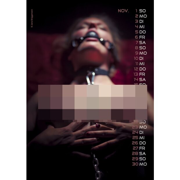 PIN-UP Kalender Fetisch 2026