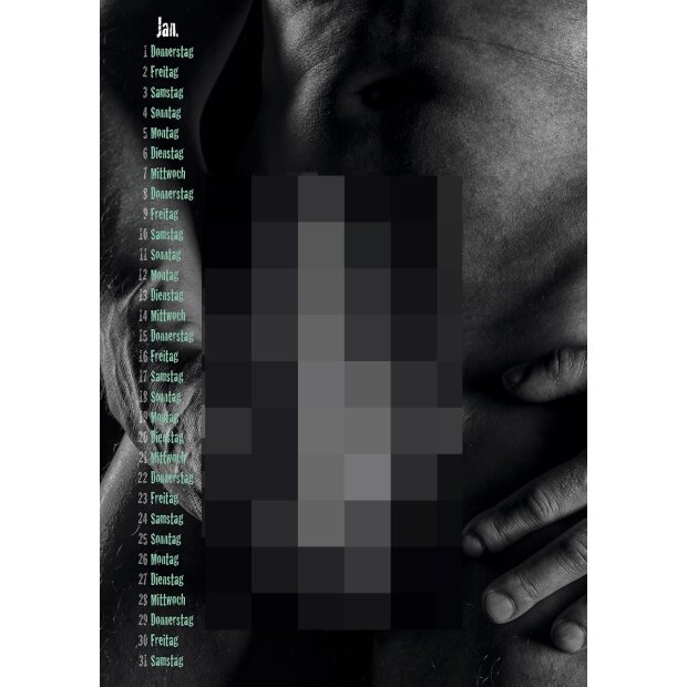 PIN-UP Kalender Nice Guys & Bad C*cks 2026