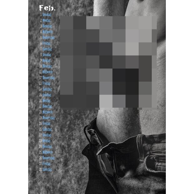 PIN-UP Kalender Nice Guys & Bad C*cks 2026