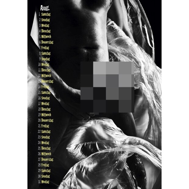 PIN-UP Kalender Nice Guys & Bad C*cks 2026