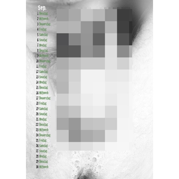 PIN-UP Kalender Nice Guys & Bad C*cks 2026