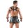 Svenjoyment Mens Skirt + Chest Harness L