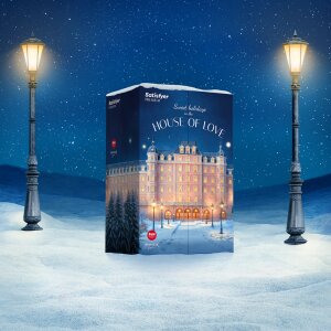 Satisfyer Premium-Adventskalender 2025