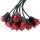 Correct Me Martinet Eight Roses 55 cm