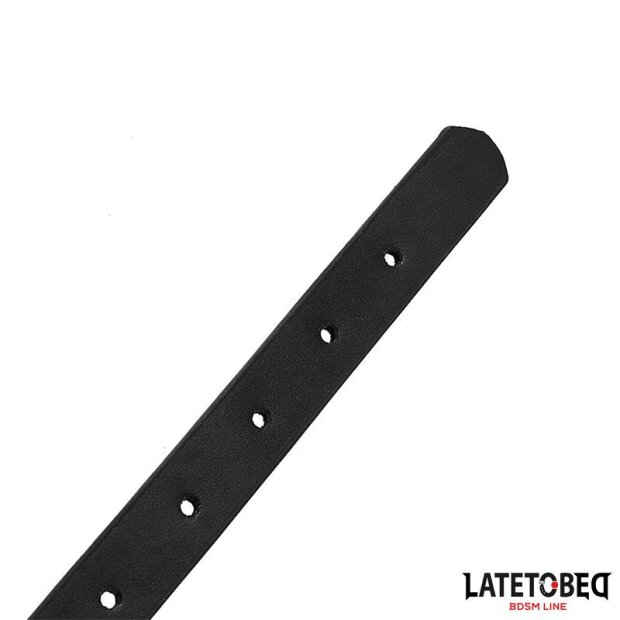 LATETOBED Coupelle Uro Drinker