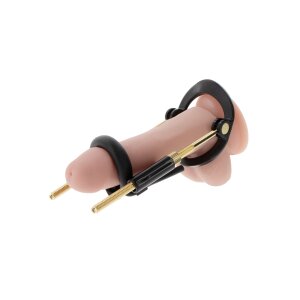 Hidden Desire Fusion X Penis Growth Training Basic Set...