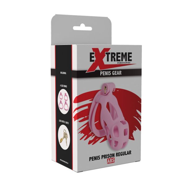 Hidden Desire Penis Prison Regular Pink