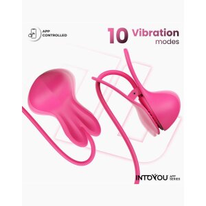 INTOYOU Tickly Nipple Clamps with Necklace (with App...