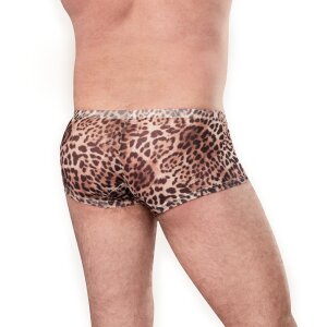 Amorable Transparente Leoparden-Shorts Mehrfarbig S-M