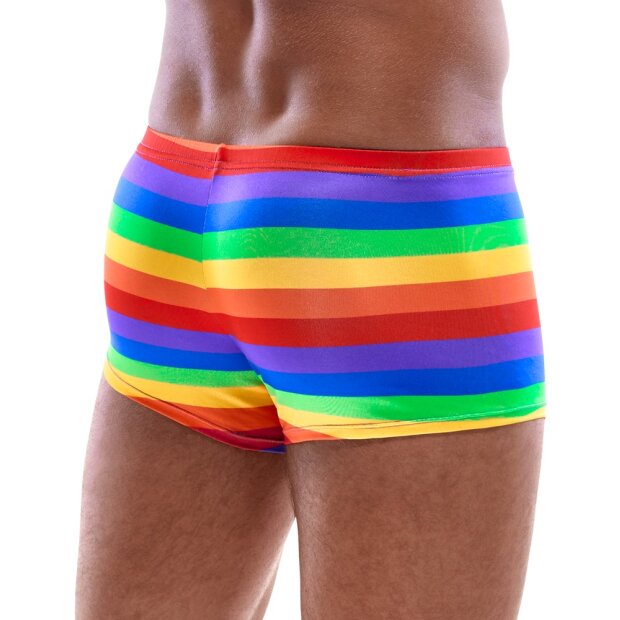 Mens Boxer Briefs Rainbow M