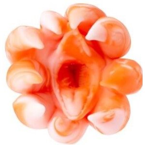 Motsutoys Sex Slave Sea Monster Pocket Pussy 0,55 Kg...