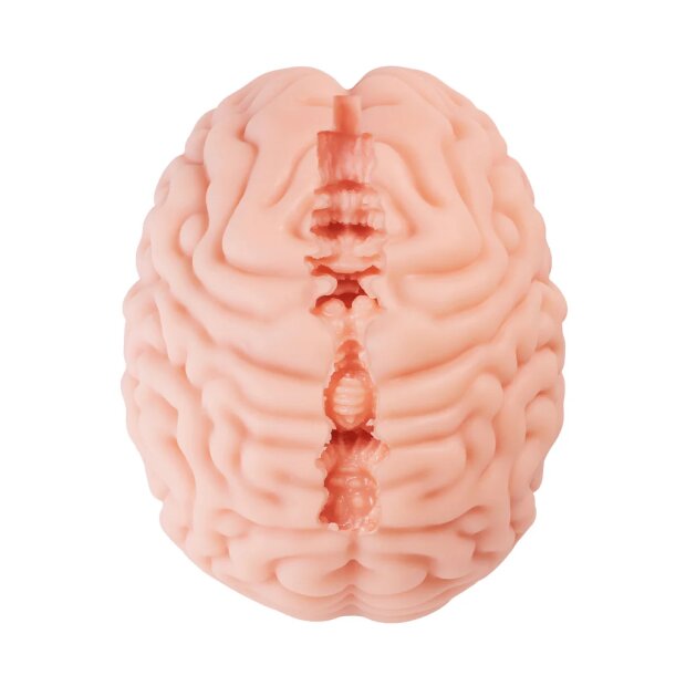 Motsutoys Brain Hacked DX Masturbator 1,2 Kg Beige