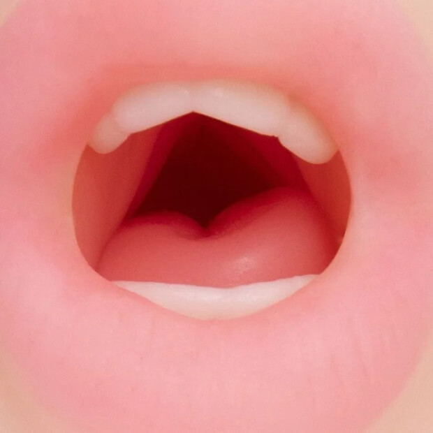 Motsutoys Nupu 3 Pussy Lips Pocket Pussy 0,49 Kg Beige