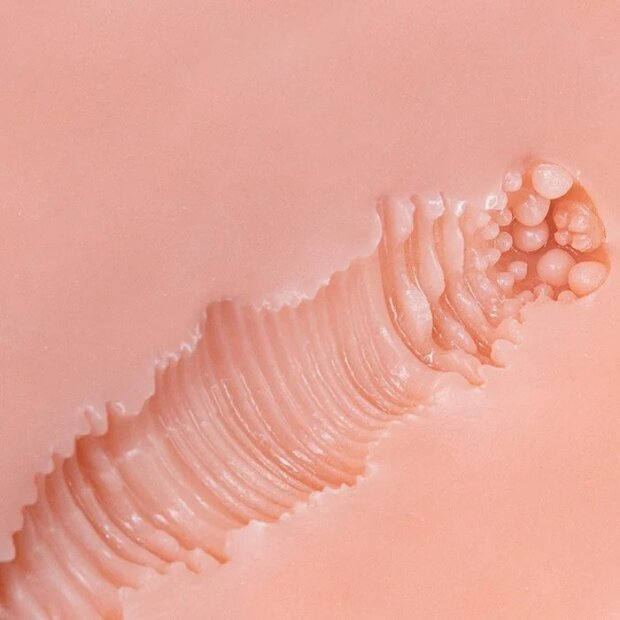 Motsutoys Seiraku Shemale Doll Torso 9.2 Kg Beige